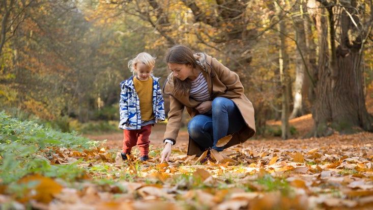 In autumn woodland, a mother crouches down to the ground to point out the autumn leaves to their child.